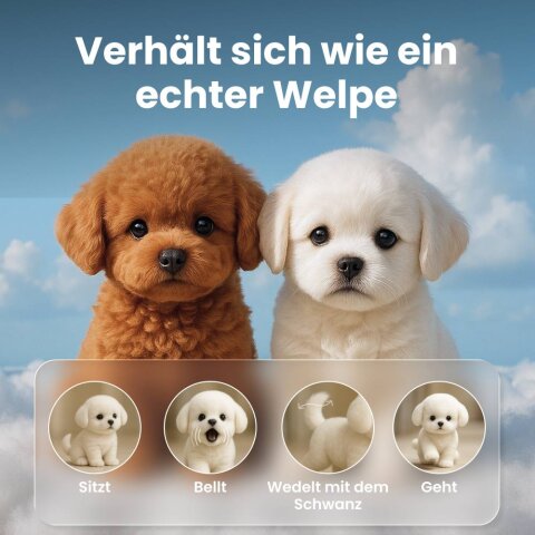 RobotDoggo image